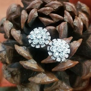 Gorgeous fashion earrings